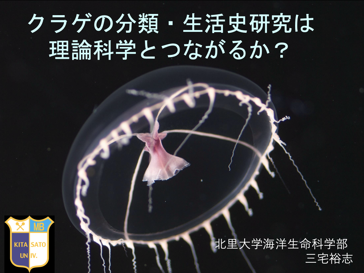 スライド 2 表紙